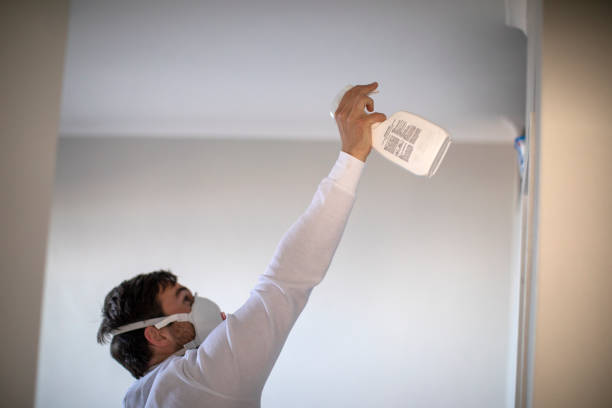 Best Professional Mold Removal  in Cheverly, MD