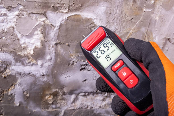 Best Water Damage Restoration  in Cheverly, MD