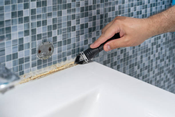 Best Mold Remediation  in Cheverly, MD