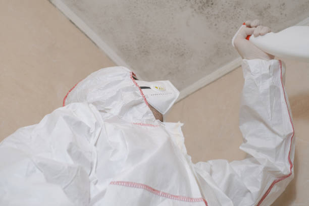Best Attic Mold Removal  in Cheverly, MD