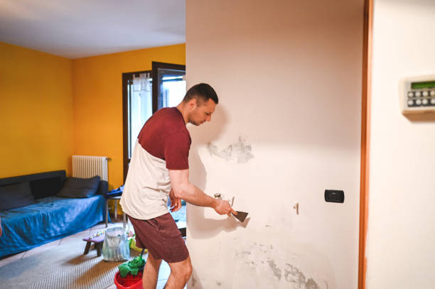 Best Commercial Mold Removal  in Cheverly, MD