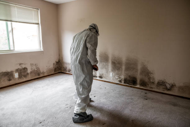 Best Crawl Space Mold Removal  in Cheverly, MD